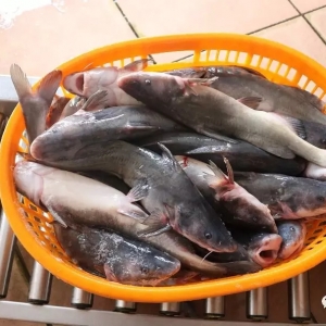 ���~������7��15�ս��F(tu��n)���r(ji��)�񲥈�(b��o)