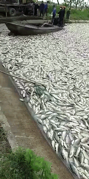 Ҫ�ᵽ40-45�棿���ߜ�?z��)Ầϯ�?2ʡ��