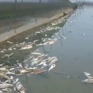 �ߜظɺ�������Ű����ɺ�ˮλ�½��s3��