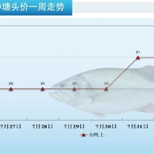 ���~�����V�|�����|��q1.5Ԫ/��