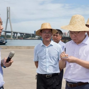 �P���(y��n)��Ͷ���·ʣ�ȫ��(gu��)ˮ�a(ch��n)�B(y��ng)ֳ��Ҏ(gu��)ģ�����B(y��ng)