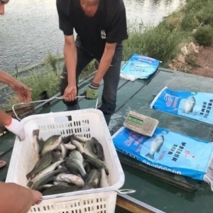 ���������|��B(y��ng)��ģʽ��һ�����(y��u)���硱�����~����һ��