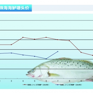 ���|�����~�����漱���������~���~�r���ϝq������ˮ�aǰ�ء�2019��8�¿��Ј�څ��