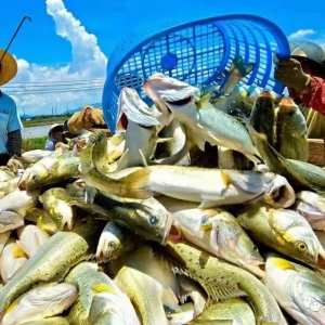 ȱ�~�����10.5Ԫ/��@�l�~�Ĵ���Ҫ�؁��ˣ�