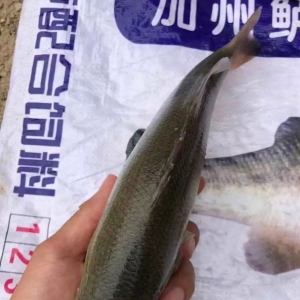 �����|�r(ji��)�q���ˣ������~���u�߃r(ji��)�ġ����E��ԭ��������