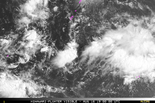 �֏�(qi��ng)���͡����_�L(f��ng)���������ˣ�ȫ���_�L(f��ng)��̥�������ɣ����ь���(zh��n)�A�ϣ�