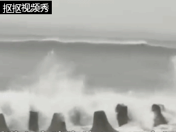 ��¹�����Ķ�ʢ���������u��V�|��