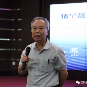 ꖖ|���i���߀��70%����Ҫ��������ˎ���N�i��δ���B�i�������ģ��@�����h����̫���ͮa ...