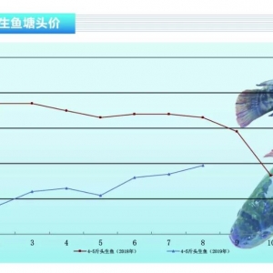 ���~���~�����Σ��~�r���q������ˮ�a(ch��n)ǰ�ء�2019��9�¿��Ј�څ��