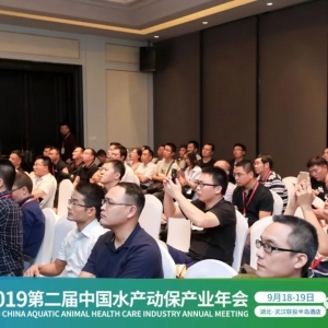 �Ї�ˮ�a(ch��n)��(d��ng)����I(y��)�ҷ��(hu��),  �����ĳɹ���(j��ng)�(y��n)