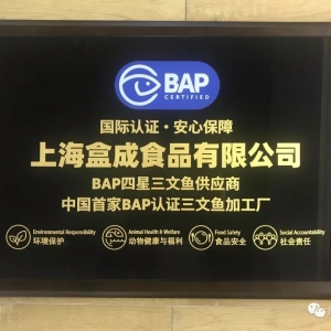 �Ϻ��гɫ@�Ç����ׂ������~�ӹ���IBAP�J�C��