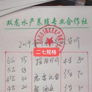 �d��ȫ���µ���9��27�ո��س�з��r��