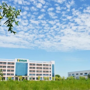 ���������͡�����ֵ��ϵ��·���