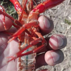 С���r�Bֳʢ�O��˥���@���S��С���r�Bֳδ���L��֮·��