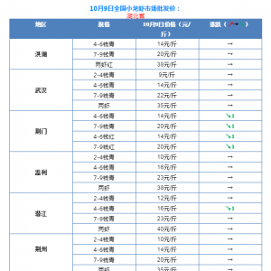 �����е�!10��9��С���r���l�r��������