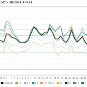 �_�q�������~�^�B�m2���µ̓r���|�׷�����