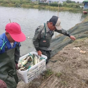 �(x��)�Ĺ�������ߵ�Ч�棬�B(y��ng)���ļ����|�~