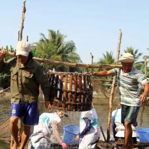 ԭ�ϳ��m(x��)�̓r��Խ�ϰ�ɳ�~���ڴ���(ji��)ǰӭ���µăr������