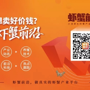 ���l(f��)�r��(w��n)��������11��1��С���r����