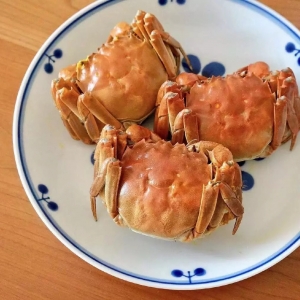 ���L��з�_�ʡ����Ŵ������ж�����з��