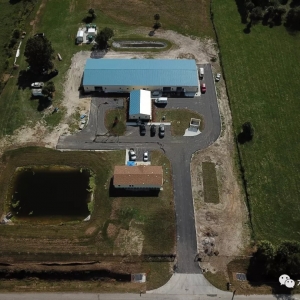 ��ï���ֳ�һӛ������