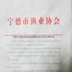 50��λ���~؜�ӡ����ϼt��ӡ�����~�r�q����