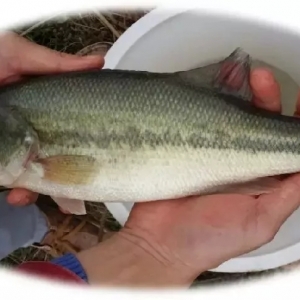 ӭ�^�s�ϣ���(sh��)�F(xi��n)������܇���A�м����|�B(y��ng)ֳͻ��֮·��������