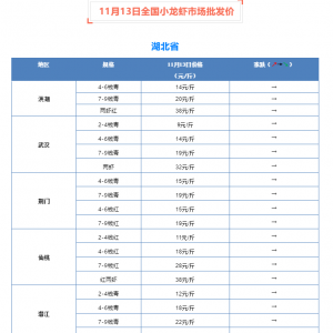 ���w���ַ�(w��n)�������������Ͼֲ���С���{(di��o)����11��13��С���r���l(f��)�Ј�����