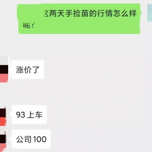 �q5Ԫ/�11��15�ո��؅^�����֓�������r