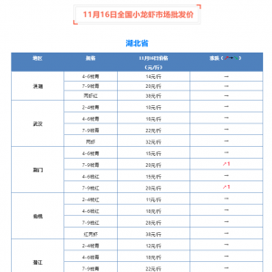 11��16��ȫ��С���r�Ј����l(f��)�r(ji��)