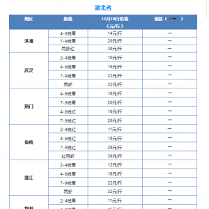 11��18��ȫ��С���r�Ј����l(f��)�r(ji��)