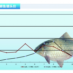 �a�~�����M���ӣ��r����������ˮ�aǰ�ء�2019��11�¿��Ј�څ��