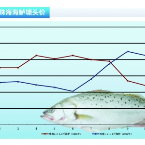 ���|�����~Ҏ�������f�~�����漱���r����󡪡���ˮ�aǰ�ء�2019��11�¿��Ј�څ��