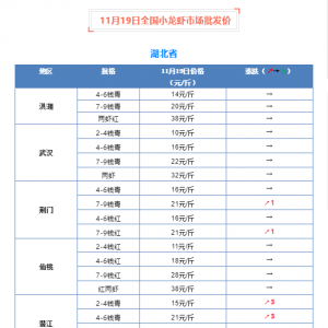 11��19��ȫ��С���r�Ј����l(f��)�r(ji��)