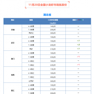 11��20��ȫ��С���r�Ј����l(f��)�r(ji��)