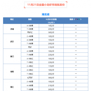 11��21��ȫ��С���r�Ј����l(f��)�r(ji��)