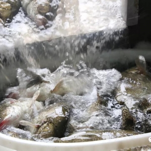 �K�ң�16�B�����Z�~�r��3���±���42Ԫ/��