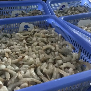 ���ϰ���q15%-18%���M��ԭ���r�q�ݛ������ӹ��Sӆ����ȫ����������(ji��)��