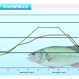 �����|��ȫ����Ʒ�~��ͨ�ٶȼӿ��������ž�������ˮ�aǰ�ء�2019��12�¿��Ј�څ��