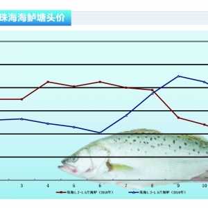 ���|���ȵ���؝q�������Է�����������ˮ�aǰ�ء�2019��12�¿��Ј�څ��