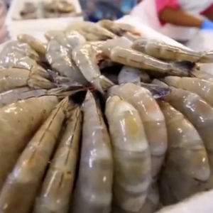 12��9������ʽ���У���϶ࠖ���r�Բ�װ߲������ڳɱ�������