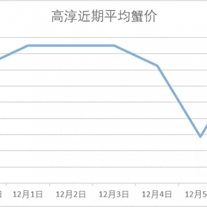 �ߴ�΢�q��12��6���d�����ߴ������顢�o�a�����ǳ�з�r����