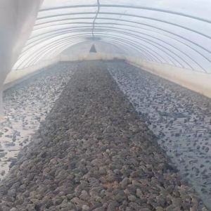 ţ��ȫ���j�t��ߝq0.8Ԫ/��V��ǧ������������B(y��ng)