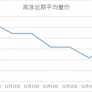 С�q��12��17���d�����ߴ������顢�o�a�����ǳ�з�r����