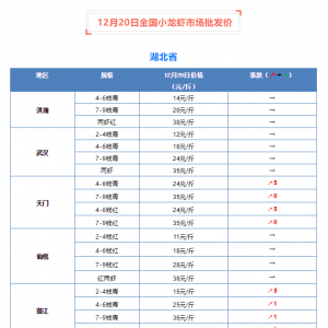 12��20��ȫ��С���r�Ј����l�r