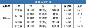 ���r10.04Ԫ/�12�µ�3��ȫ���S��~���^�r�񲥈�