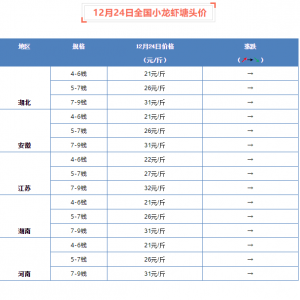 12��24��ȫ��(gu��)С���r���^�r(ji��)