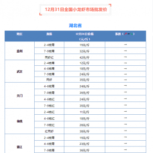 12��31��ȫ��С���r�Ј����l�r