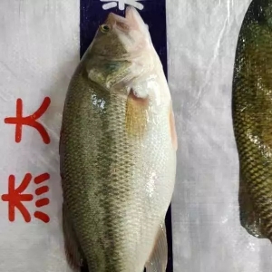 �~�r(ji��)��һ݆�ϝq������ϝq0.5Ԫ/������~�r(ji��)���m(x��)����| �ܴ�����ؼs