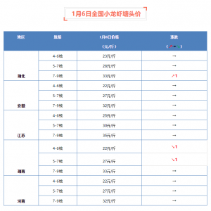 1��6��ȫ��(gu��)С���r���^�r(ji��)